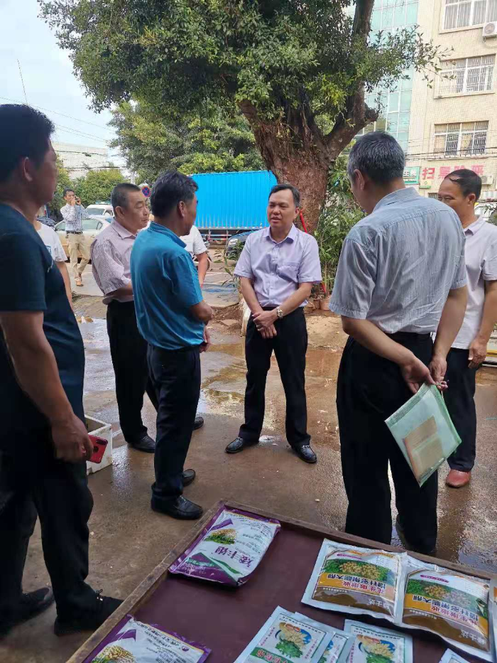 市供销社党组书记、主任叶文新到徐闻调研农资供应情况.jpg
