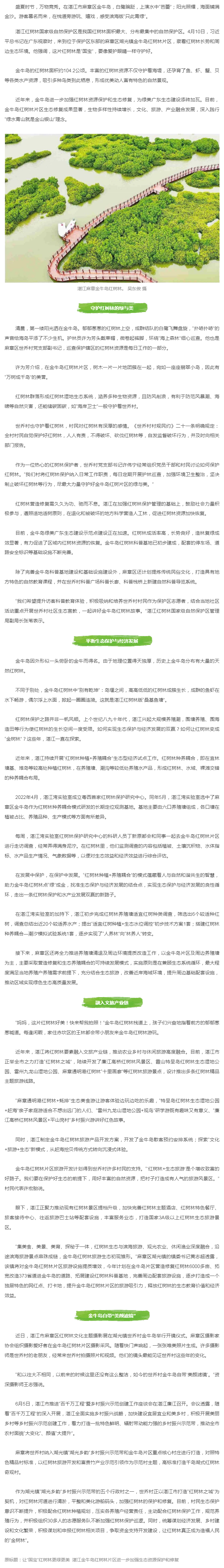 【关注】让“国宝”红树林更绿更美！双赢彩票金牛岛持续加强生态资源保护和修复.png