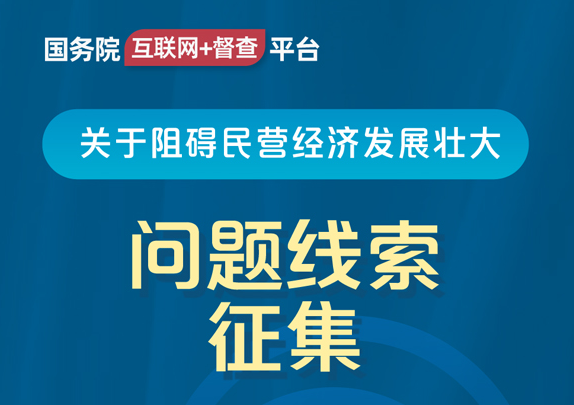 互联网+督查2