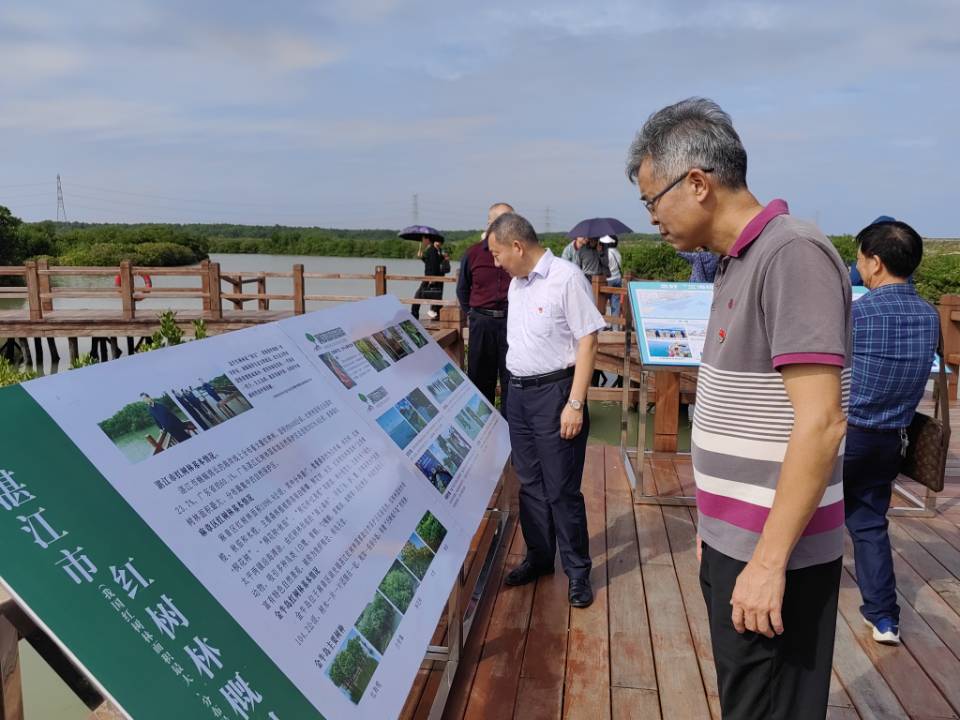 双赢彩票(中国)开奖记录官网
地方志办公室开展“沿着总书记的足迹”暨“守护红树林，共建绿美双赢彩票”主题党日活动