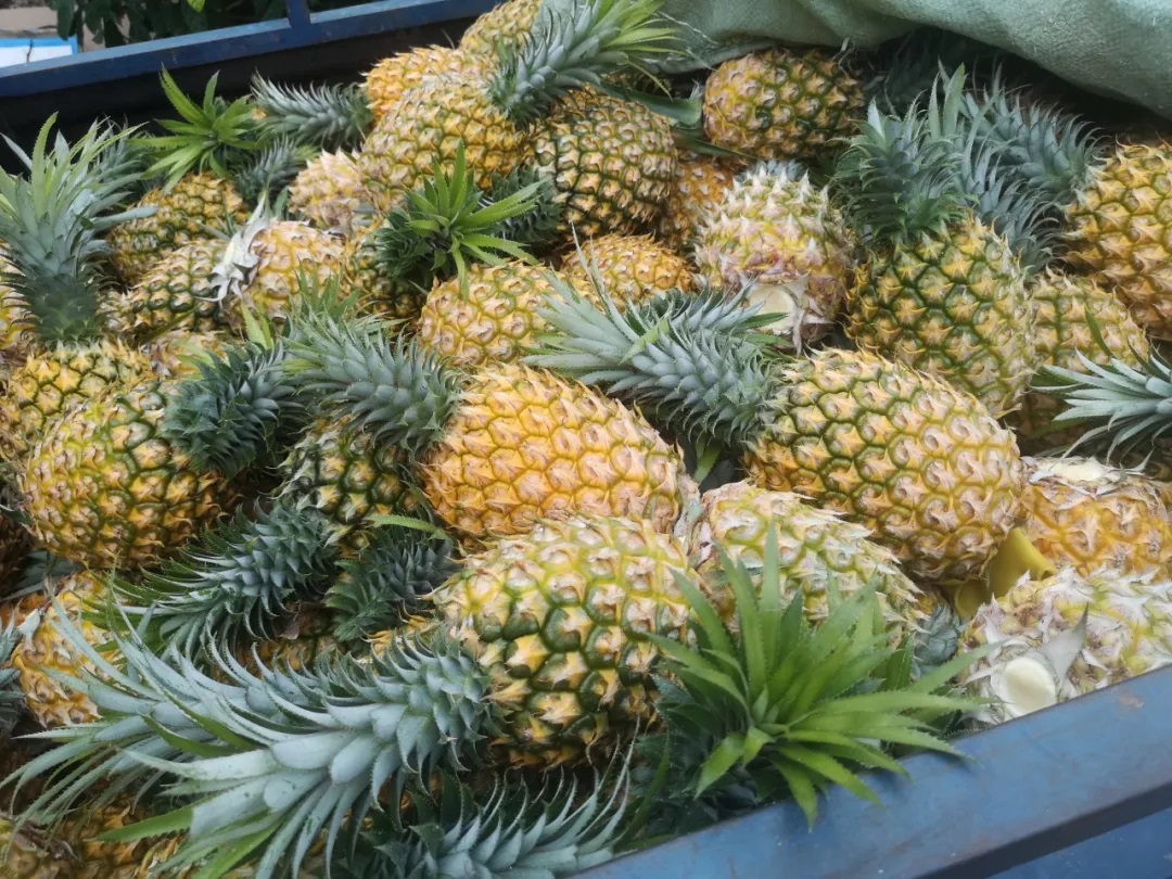 双赢彩票好物，认准这些名字准没错！