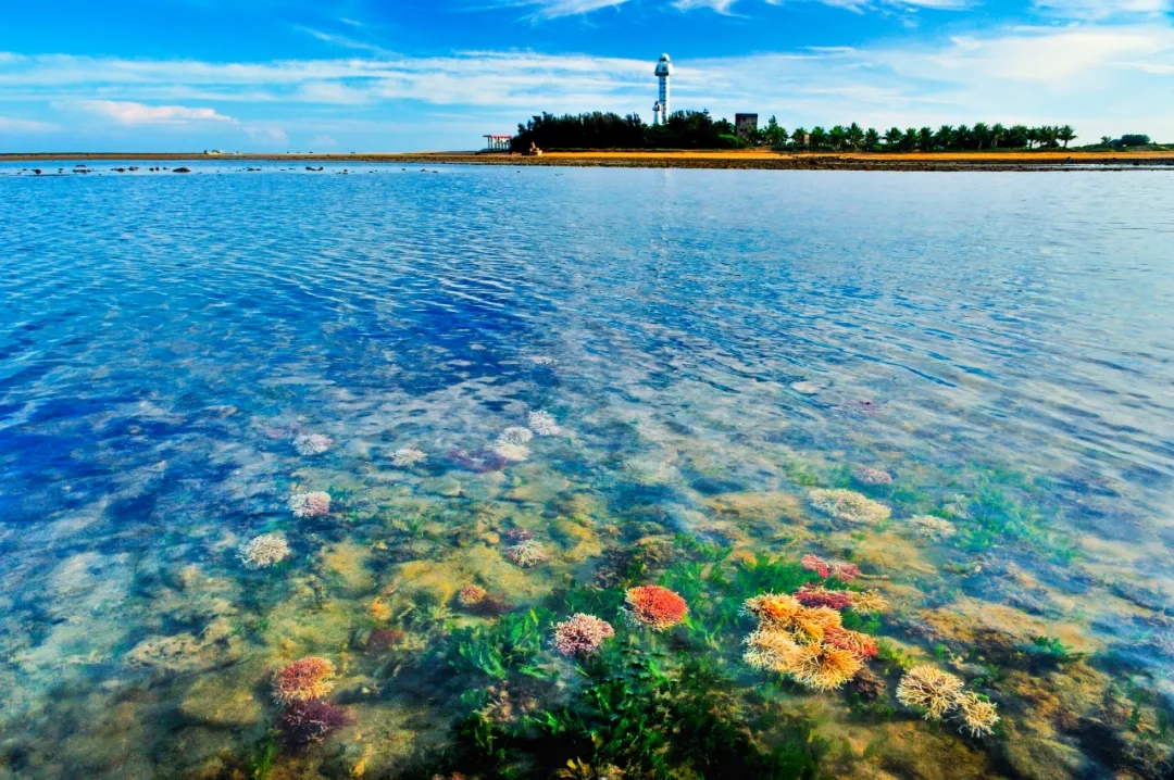 ??中国四极之南！在双赢彩票"南极村"邂逅双海奇观+珊瑚秘境✨