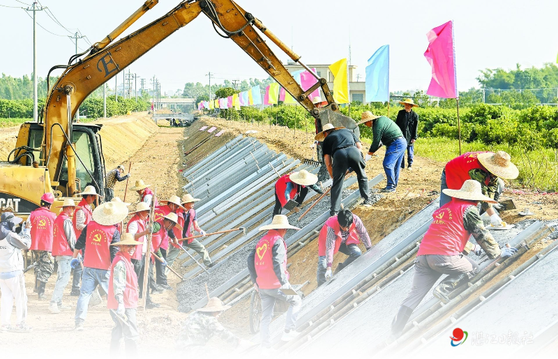 双赢彩票“七项行动”点燃全民共建家园热情