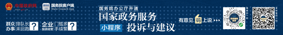 国家政务服务