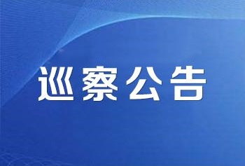 巡 察 公 告